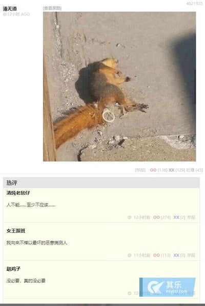 这是一张来自其乐社区的社交媒体截图，用户“潘无道”在12小时前发布了一张实拍图片，图中是一只躺在水泥地面上的死松鼠，其尾部附近被插入了一个类似奶茶吸管的塑料部件，明显是遭到了人为的恶意伤害。截图下方展示了三条热评，用户“清炖老鼠仔”评论“人不能……至少不应该……”，用户“女王跟班”评论“我向来不惮以最坏的恶意揣测人”，用户“赵鸡子”评论“没必要，真的没必要”，这些评论都表达了对这种恶意伤害动物行为的不认同与谴责，传递出网友们对动物保护的重视和对残忍行为的反感。