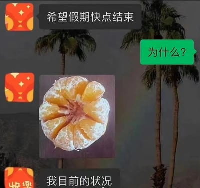 图片背景为两棵棕榈树，营造出轻松的氛围。左侧有三个红色的红包图标，上方黑色对话框写着“希望假期快点结束”，右侧绿色对话框反问“为什么？”。中间是一张剥开的橘子特写，下方文字标注“我目前的状况”。通过橘子被剥开的状态比喻假期中自己像被“掏空”一样疲惫，幽默表达了假期过长反而让人想结束的心情。
