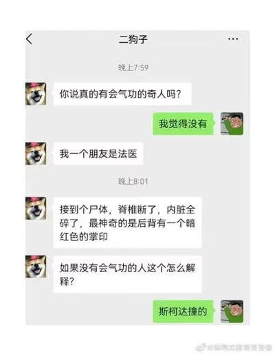 这是一张微信聊天界面截图，对话双方的昵称分别是“二狗子”（头像是戴粉色帽子的笑脸柴犬）和另一名用户（头像是穿绿色上衣的卡通男子）。对话中二狗子首先询问对方是否相信真的有会气功的奇人，对方给出否定回答后，二狗子称自己的法医朋友接到过一具死因奇怪的尸体，死者脊椎断裂、内脏全碎，后背还有一个暗红色的类似掌印的痕迹，以此质疑如果没有会气功的人该如何解释这种情况，最后对方回复“斯柯达撞的”，利用斯柯达汽车的车标外观和掌印高度相似的特点制造反差笑点，是典型的网络冷笑话段子。