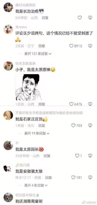 社交媒体评论区截图，展示了来自山西、辽宁、河北、安徽等地网友的搞笑互动。用户通过改编城市名玩梗，如“长治治疮”（长治）、“太原原神”（太原）、“石家庄庄货”（石家庄）、“安徽太狼”（安徽）等，其中评论“评论区少说两句，这个情况已经不能受刺激了”获8915点赞。截图包含用户头像、发布时间、地区、点赞数及展开回复入口，整体风格轻松幽默，充满网络调侃氛围。