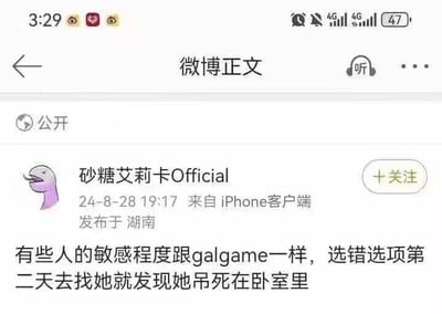 这是一张微博平台的用户发布内容截图，博主“砂糖艾莉卡Official”于2024年8月28日19:17在湖南通过iPhone客户端发布了这条公开微博。微博内容用夸张的比喻，将部分人极高的敏感程度类比为美少女恋爱游戏（galgame）的剧情：就像在galgame里选错选项会触发坏结局一样，和这类敏感的人相处时只要做出一点不合对方心意的事，就会引发极端的负面结果，以此调侃这类性格极端敏感的人，风格搞笑夸张。