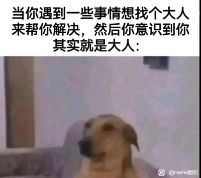 这是一张图文混排的meme梗图，上方配有极具共鸣性的文字：“当你遇到一些事情想找个大人来帮你解决，然后你意识到你其实就是大人：”，下方是一张实拍的狗狗照片，狗狗坐在沙发上，眼神迷茫、表情恍惚，完美呈现出突然意识到自己已经是需要承担责任、无法再依赖他人的大人时的错愕、无助与不知所措的情绪，精准戳中了成年人群体在面对困境时的内心感受，容易引发强烈的情感共鸣。