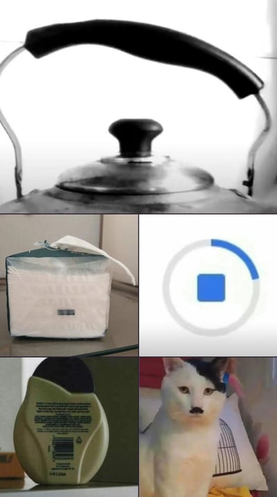 这是一组由五张视觉错觉图片拼接而成的趣味合集：
1. 顶部的不锈钢水壶，壶盖的凸起和提手的组合，巧合形成了类似人脸的视觉效果，看起来像一个有着黑色头发和大鼻子的人脸；
2. 左下的纸巾包装，透过透明包装的图案和开口的形状，组合成了类似人脸的形象，有着“刘海”和“嘴巴”；
3. 右上的加载图标，蓝色的进度条和中间的方块，看起来像一个有着蓝色头发和人脸的形象；
4. 左下的洗护瓶子，标签和瓶盖的位置，形成了类似人脸的视觉效果；
5. 右下的猫咪，脸部的黑色毛色分布，加上背景鸟笼的线条，看起来像猫咪长了“八字眉”和“胡子”，鸟笼的线条如同猫咪的嘴部，形成有趣的视觉错位。
这些图片都利用了生活物品的形状、图案巧合，让观察者产生人脸的视觉错觉，充满趣味性。