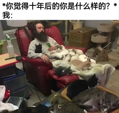 图片上方配有文字'你觉得十年后的你是什么样的？ 我：'，下方是一张照片：一名留着胡须的男子坐在红色扶手椅上，身上和周围被多只猫咪环绕，他手持绿色手机，神情放松，仿佛沉浸在被猫咪包围的悠闲生活中。整体表达了对十年后生活的一种轻松、满足的理想状态，带有幽默和自嘲的意味，暗示比起宏大理想更向往简单的幸福。