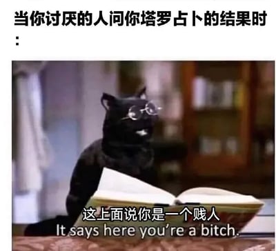 图片上方配有文字“当你讨厌的人问你塔罗占卜的结果时：”，下方是一只戴着圆形眼镜的黑色猫咪，正端坐在桌子前，前爪捧着一本打开的书。猫咪表情严肃，仿佛在认真查阅内容，其下方配有文字“这上面说你是一个贱人”及对应的英文翻译“It says here you're a bitch.”。整体通过拟人化的猫咪形象和直白幽默的回答，调侃了面对讨厌的人询问占卜结果时的戏谑心态。