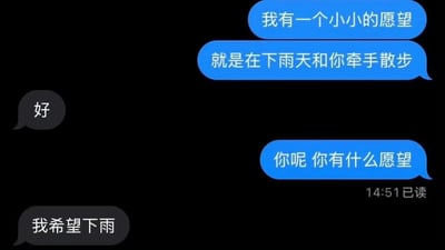 这是一张聊天记录截图，展示了一段幽默的对话。一方表达了想在下雨天牵手散步的浪漫愿望，另一方简单回应"好"。当被问及自己的愿望时，对方回答"我希望下雨"，形成了一个有趣的转折，暗示只有先下雨，第一个愿望才能实现。