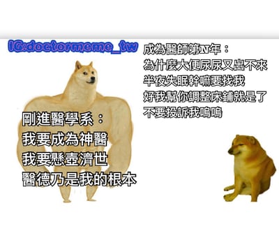 这张梗图使用了流行的"肌肉柴犬vs普通柴犬"(Buff Doge vs. Cheems)模板，通过夸张对比展现了医学生和资深医生的心态变化。左侧是拥有健硕肌肉的柴犬，配文"刚进医学系：我要成为神医 我要悬壶济世 医德乃是我的根本"，代表了医学生时期的理想与抱负；右侧是一只体型较小、表情无奈的柴犬，配文"成为医师第N年：为什么大便尿尿又出不来 半夜失眠干嘛要找我 好我帮你调整床铺就是了 不要投诉我呜呜"，幽默地描绘了医生实际工作中需要处理各种琐碎问题的无奈现实。