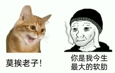 这是一张左右对比的静态网络梗图，左侧是一只表情凶狠、嘴巴大张的橘色猫咪，头部微侧，呈现出驱赶的姿态，传递出抗拒、不耐烦、不想被靠近的情绪，下方配文“莫挨老子！”；右侧是网络知名迷因“Wojak（Feels Guy）”的经典悲伤男性形象，他戴着黑色针织帽，叼着烟，神情落寞、眼神黯淡，姿态颓废，下方配文“你是我今生最大的软肋”，表达出内心深处的珍视与柔软。两张图的形象和文字形成强烈的情绪反差，用来调侃口是心非、表面冷漠实则内心极度在意的外冷内热状态，常见于社交平台用来表达自己或他人在感情、人际关系中的这种矛盾心态。