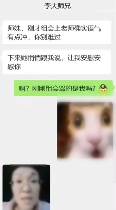 这是一张微信聊天记录类搞笑梗图，对话双方为李大师兄和师妹。师兄首先告知师妹，组会上导师语气冲，还特意嘱托自己来安慰她；而师妹的回复显示她完全没有意识到刚才组会上挨骂的人是自己，还搭配了一张睁大眼睛满脸震惊的猫咪表情包，后续还附上了一张眼神迷茫、一脸错愕的真人表情图，生动展现了研究生粗神经的搞笑日常，反差感十足很有笑点。