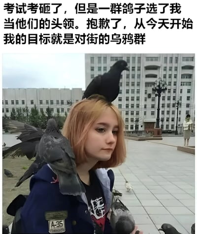 图片上方为黑色文字：'考试考砸了，但是一群鸽子选了我当他们的头领。抱歉了，从今天开始我的目标就是对街的乌鸦群'。下方是一张真人照片，一位橙发人士站在户外广场，多只鸽子停留在其头部和肩膀上，背景为白色多层建筑和路灯。整体通过考试失利与被鸽子选为头领的幽默对比，营造出搞笑又带点自嘲的氛围。