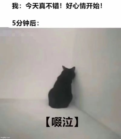 图片上方文字写着"我：今天真不错！好心情开始！5分钟后："，下方是一只黑猫背对着镜头蹲坐在白色房间的墙角，图片底部有"【啜泣】"字样。通过前后对比，幽默地表现了好心情快速转变为悲伤的情绪变化。