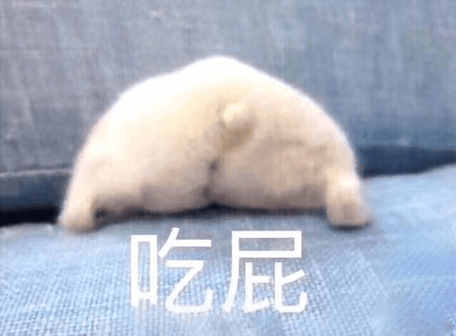 背对镜头的小奶狗配上吃屁文字