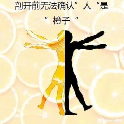 这是一张P图改编的静态文字加注图，采用左右对比的构图方式。背景是重复排列的橙子切片图案，画面主体是一个被左右分割的人形：左侧部分用橙子切片的纹理填充，右侧是纯黑色的人形剪影，人物双臂和双腿向外张开，呈现出舒展的动作。图片上方配有文字“剖开前无法确认"人"是"橙子"”，利用视觉上的人形橙子拼接制造荒诞趣味，玩了表述上的梗，暗示不深入了解就无法知晓事物的真实内里，同时结合视觉效果增强趣味性。