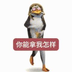 高雅人士
