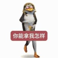 高雅人士