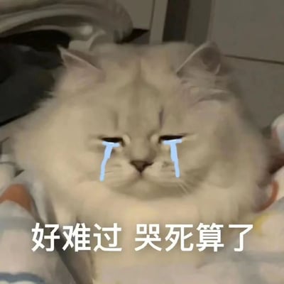 一只白色的长毛猫，脸上被编辑添加了蓝色的眼泪图案，表情看起来很悲伤。图片下方有文字“好难过 哭死算了”，整体营造出一种悲伤又有点可爱的氛围，常被用来表达极度伤心或夸张的难过情绪。