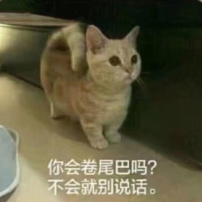一只橘白相间的猫咪站在浅色台面上，尾巴卷曲在背上，表情严肃地看着前方。图片下方配有文字：'你会卷尾巴吗? 不会就别说话。' 这张图通过猫咪卷尾巴的可爱姿态与略带挑衅的文字形成反差萌，常被用来幽默地回应他人的指手画脚或炫耀。