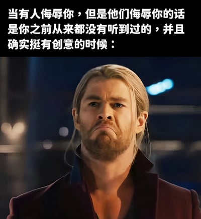 图片上方为白色文字：'当有人侮辱你，但是他们侮辱你的话是你之前从来都没有听到过的，并且确实挺有创意的时候：'，下方是电影《雷神》中雷神托尔（由克里斯·海姆斯沃斯饰演）的截图。托尔留着金色长发，穿着深色外套，表情严肃中带着一丝困惑和若有所思，仿佛在面对这种'有创意的侮辱'时陷入了复杂的情绪中。图片通过文字与角色表情的结合，幽默地展现了人们在遇到新颖且有创意的负面评价时，那种既被冒犯又忍不住觉得有趣的矛盾心理。