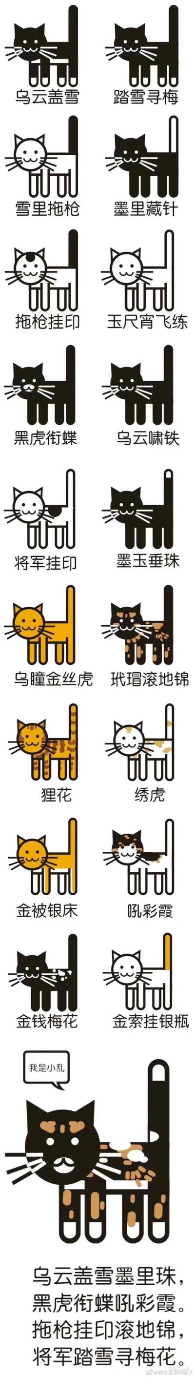 这是一张科普中国传统猫咪花色雅称的图鉴，用简约可爱的卡通画风展示了20种不同毛色分布的猫咪，每种猫咪都配有对应的古典雅致称呼，比如「乌云盖雪」「踏雪寻梅」「雪里拖枪」等，这些称呼根据猫咪的毛色特点而来，充满中式诗意。图鉴底部还有一只自称「我是小乱」的混色猫咪，以及一句总结这些雅称的打油诗：「乌云盖雪墨里珠，黑虎衔蝶吼彩霞。拖枪挂印滚地锦，将军踏雪寻梅花。」整体内容趣味十足，兼具科普性与观赏性。