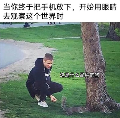 这是一张充满趣味的搞笑梗图，顶部配文“当你终于把手机放下，开始用眼睛去观察这个世界时”铺垫情境，图中是知名歌手贾斯汀·比伯蹲在公园的草地上，对着树旁的松鼠露出疑惑的神情，配文“这是什么品种的狗”，通过将松鼠误认成狗的认知错误，制造出强烈的反差笑点，调侃了长期沉迷手机、忽略现实观察后，对身边事物出现认知偏差的尴尬状态，贴合当下不少人的生活状态，充满幽默趣味。