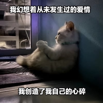 图片中是一只戴着绿色项圈的白猫，正仰卧在蓝色墙壁旁，前爪交叉放在胸前，扭头望向窗外。窗外隐约可见一些设备轮廓，室内光线偏暗，营造出安静的氛围。图片上方配有文字“我幻想着从未发生过的爱情”，下方配有文字“我创造了我自己的心碎”。整体通过猫咪的安静姿态与伤感文字的结合，拟人化地表达了一种对未实现情感的怅惘与自我感伤的情绪。