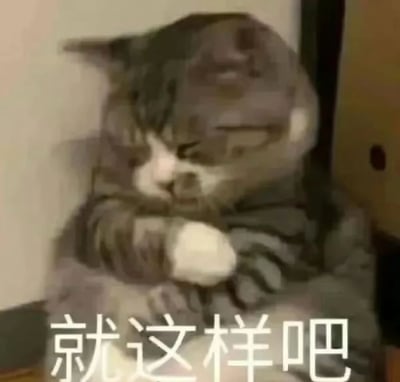 一只灰白相间的猫咪蜷缩着身体，前爪抱在胸前，眼睛微闭，似乎在打盹或休息。图片底部有白色文字“就这样吧”，整体氛围慵懒随性，仿佛猫咪在表达一种“就这样吧，不想管了”的摆烂心态。