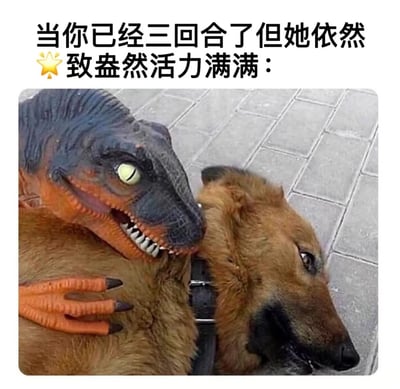 图片展示了一只疲惫的棕色狗趴在地上，而一只玩具恐龙趴在狗身上，张着嘴，眼睛圆睁，显得活力十足。上方文字写着：'当你已经三回合了但她依然🌟致盎然活力满满：'，通过狗和恐龙的对比，幽默地表现了一方疲惫而另一方依然精力充沛的场景。这里的'三回合'是一种含蓄的性暗示，用动物形象来比喻亲密关系中双方体力的差异。