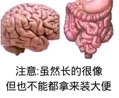 这是一张左右对比的静态梗图，左侧展示了人类大脑的解剖示意图，右侧是人类肠道的解剖示意图，二者外观褶皱形态具有较高的相似性。图片下方配有文字“注意:虽然长的很像但也不能都拿来装大便”，利用两者外形相似玩梗，暗讽那些不动脑、做事缺乏思考的人，通过视觉相似性制造反差，用直白的方式达到搞笑调侃的效果，属于网络常见的搞笑吐槽类梗图。