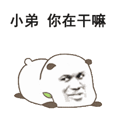 小弟你在干嘛 熊猫头表情包