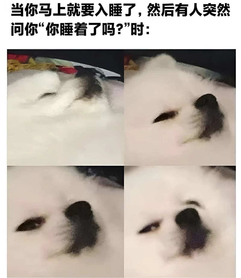 狗