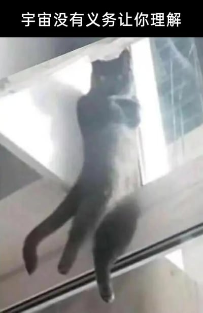 这是一张带有文字的视觉错位搞笑图片，画面中的猫咪因趴在玻璃上的角度与光线影响，形成了类似三条腿的怪异视觉效果，打破了人们对猫咪正常身体结构的认知；图片顶部配有的文字“宇宙没有义务让你理解”，原本是带有思辨性的语句，在此处被用来调侃这只猫咪怪异到无法理解的样子，用反差感制造幽默效果，常被用作网络梗图，用来表达遇到难以理解的事物时，以调侃的心态接受的情绪。