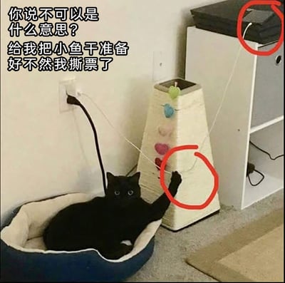 这是一张充满趣味的萌宠梗图，画面主体是一只黑猫，它躺在柔软的猫窝里，睁着圆溜溜的眼睛，表情看起来十分严肃，一只前爪紧紧抓着一根连接着电子设备的充电线。图片左侧配有拟人化的文字：“你说不可以是什么意思？给我把小鱼干准备好不然我撕票了”，将黑猫抓充电线的普通行为脑补成“绑架”电子设备来索要小鱼干的戏码，用拟人化的搞笑方式放大了宠物行为的可爱反差，让人忍俊不禁。