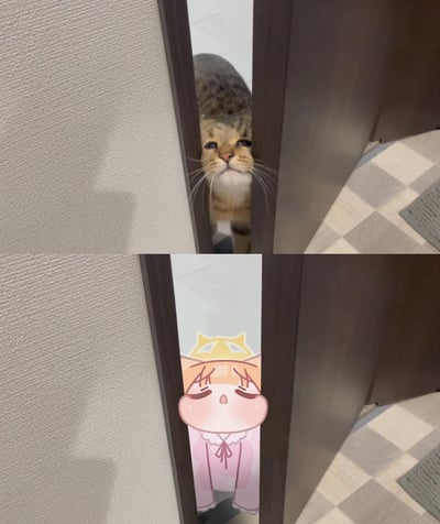 这是一张上下拼接的对比图，上图是一只真实的猫咪，从狭窄的门缝中探出头，眼神委屈巴巴，仿佛在可怜兮兮地偷看门内的动静；下图是将这只猫咪替换成了一个戴着猫耳发饰的卡通角色，角色闭着眼睛，神态和原图猫咪的委屈感高度呼应，完美还原了门缝偷窥的场景，整体风格可爱又搞笑。