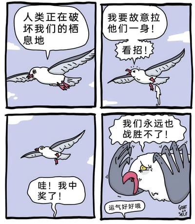 这是一幅四格卡通漫画，第一格中，一只海鸥愤怒地飞行着，抱怨人类正在破坏它们的栖息地；第二格中，海鸥决定向人类排便进行报复，摆出攻击的姿态开始排便；第三格中，下方的人类兴奋地大喊“哇！我中奖了！”，海鸥露出惊讶的表情；第四格中，海鸥被人类的手抓住，它绝望地喊出“我们永远也战胜不了！”，而人类则调侃道“运气好好哦”。漫画以黑色幽默的方式，展现了作为被破坏栖息地的弱势方，海鸥的反击不仅没有起到作用，反而陷入绝境，讽刺了人类对自然环境的破坏，同时也用荒诞的剧情制造了搞笑效果。