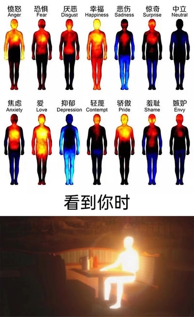 这是一张经过二次创作的趣味梗图，画面上半部分展示了14种不同情绪（包含愤怒、幸福、爱、抑郁等基础与复杂情绪）对应的人体情绪热力可视化图，每种情绪对应不同的身体色彩高亮区域，代表该情绪下身体的激活部位；下半部分配文“看到你时”，并搭配一个全身呈现暖色调高亮的抽象人体形象，以此夸张地表达看到特定对象时，情绪强烈到覆盖全身，传递出浓烈的情绪冲击感，常用于社交场景表达对他人的强烈好感或情绪波动。