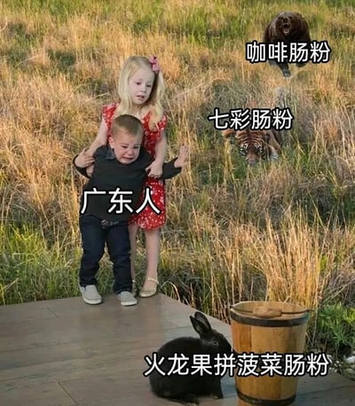 图片展示了一个小女孩搀扶着哭泣的小男孩站在木板路上，周围是草地环境。图片通过添加文字标签创造幽默效果：小男孩被标注为“广东人”，而背景中出现的老虎、熊和兔子分别被标注为“七彩肠粉”、“咖啡肠粉”和“火龙果拼菠菜肠粉”。这种创意组合暗示了传统广东美食肠粉的创新变种可能会让传统广东人感到惊讶或不适。