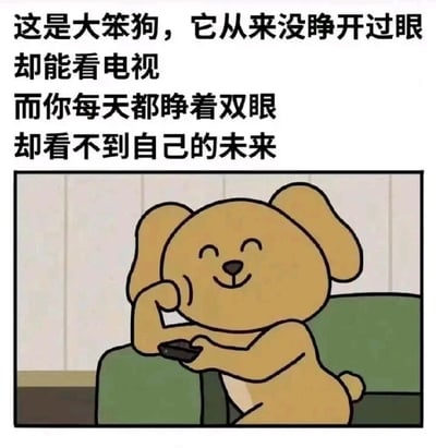 这是一张图文混排的静态卡通梗图，上方配有黑色扎心文字：“这是大笨狗，它从来没睁开过眼却能看电视，而你每天都睁着双眼却看不到自己的未来”；下方是卡通插画，画着一只浅棕色的大笨狗，它闭着眼睛、面带微笑，惬意地坐在绿色沙发上，一只手撑着脸，另一只手拿着遥控器，仿佛正在看电视。图片通过拟人化的小狗和现实中人们的状态形成反差对比，用幽默戏谑的方式戳中当代年轻人对未来迷茫、焦虑的情绪，属于自嘲类的网络梗图，容易引发网友的情感共鸣。