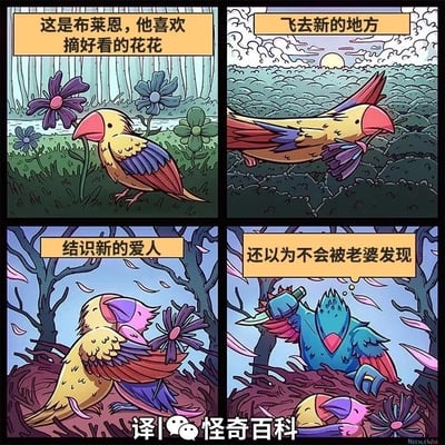 这是一则四格连环卡通漫画，以拟人化的鸟类讲述了出轨被抓的讽刺故事：
1. 第一格：介绍黄色彩鸟布莱恩，它有着喜爱摘漂亮花朵的爱好；
2. 第二格：布莱恩展翅飞往新的区域，为后续的行为埋下伏笔；
3. 第三格：布莱恩在鸟巢中与一只粉色小鸟亲密依偎，配文表明它在此结识了新的爱人，实施了出轨行为；
4. 第四格：一只愤怒的蓝色大鸟手持刀具突然出现，布莱恩与粉色小鸟倒在巢中，配文“还以为不会被老婆发现”揭示了蓝色鸟是布莱恩的配偶，布莱恩的出轨行为被当场抓包，结局充满荒诞的讽刺感。
漫画用动物拟人化的方式映射人类社会的出轨现象，通过反转的结局制造搞笑又惊悚的喜剧效果，没有双关、谐音梗等内容。