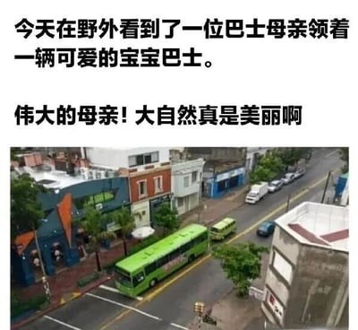 图片上方配有文字：“今天在野外看到了一位巴士母亲领着一辆可爱的宝宝巴士。伟大的母亲！大自然真是美丽啊”，下方是一张城市街景照片，显示一辆绿色大巴士后方跟着一辆小型绿色巴士。图片通过将巴士拟人化为“母子”，并以“野外”“大自然”的文字描述与实际城市街道场景形成反差，制造幽默效果。