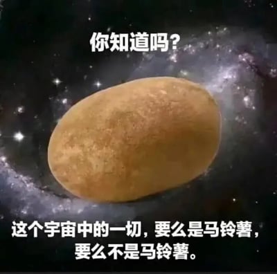 这张图片展示了一个马铃薯置于宇宙星空背景之上，上方配有文字'你知道吗?'，下方文字为'这个宇宙中的一切，要么是马铃薯，要么不是马铃薯。'。图片通过无厘头的逻辑梗制造幽默效果，将马铃薯与宇宙万物联系起来，形成一种荒诞又搞笑的对比。