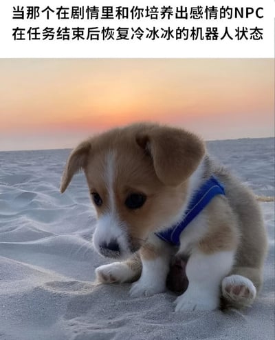 图片上方配有文字“当那个在剧情里和你培养出感情的NPC在任务结束后恢复冷冰冰的机器人状态”，下方是一张在沙滩日落背景下的柯基幼犬照片。小狗戴着蓝色背带，低着头坐在沙地上，眼神中带着明显的悲伤和失落，完美呼应了文字所表达的游戏玩家在经历NPC从情感互动到冷漠状态转变时的失望与不舍情绪。