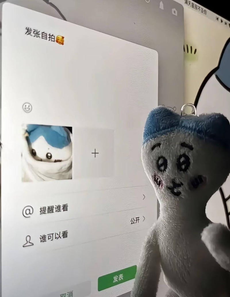 网友自制毛绒玩具