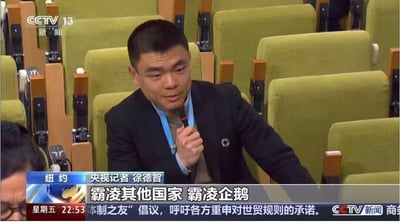 新闻截图显示央视记者徐德智在纽约的一场国际会议中，身着黑色西装，手持麦克风正在发言。背景是排列整齐的绿色会议座椅，画面左上角有CCTV 13新闻的标识。屏幕下方字幕显示'霸凌其他国家 霸凌企鹅'等内容。