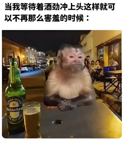 图片上方配有文字“当我等待着酒劲冲上头这样就可以不再那么害羞的时候：”，下方是一只猴子坐在户外咖啡馆的桌子前，桌上放着一瓶喜力啤酒和一杯倒好的啤酒。猴子表情严肃，双臂交叉，背景中可见其他顾客，营造出一种在社交场合中等待酒精缓解害羞情绪的搞笑场景。