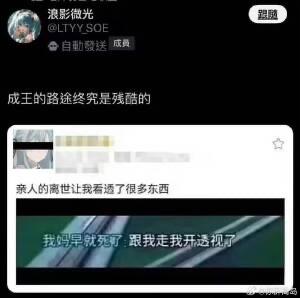 这是一张竖屏手机格式的聊天记录截图，分为三段文字内容，营造出强烈的情绪反差：先是账号「浪影微光」发布「成王的路途终究是残酷的」，带出励志悲壮的氛围；接着匿名用户的「亲人的离世让我看透了很多东西」将情绪拉至伤感沉重；最后一句「我妈早就死了，跟我走我开透视了」瞬间反转，「开透视」是游戏中外挂的说法，前面的伤感话术都是铺垫，实际是在游戏里拉拢队友，用荒诞的反差感制造搞笑效果。