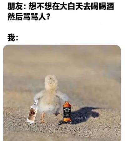 图片上方文字为“朋友：想不想在大白天去喝喝酒然后骂骂人？”和“我：”，下方是一只毛茸茸的小鸟站在沙地上，左右各手持一瓶酒（右侧为杰克丹尼威士忌），表情看起来兴奋，正迈步向前。整体通过文字与图片结合，幽默地表现了对朋友邀请的积极响应。