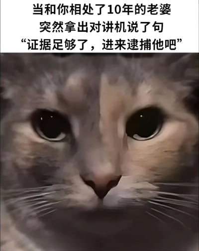 图片上半部分为黑色文字：“当和你相处了10年的老婆突然拿出对讲机说了句‘证据足够了，进来逮捕他吧’”，下半部分是一张猫的脸部特写，猫咪眼神睁大，表情看起来有些惊讶和无辜，形成一种戏剧性的反差萌。文字内容构建了一个荒诞的家庭场景，而猫咪的表情则放大了这种突如其来的反转带来的幽默效果。