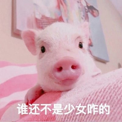 图片中是一只粉嫩的小猪，有着大大的黑眼睛和粉色的鼻子，正趴卧在粉色与白色相间的条纹毯子上。背景中隐约可见一幅挂在墙上的彩色图画。图片底部有一行白色文字：'谁还不是少女咋的'，通过将小猪的可爱形象与'少女'这一身份标签结合，营造出一种幽默俏皮的氛围，传递出可爱自信的感觉。