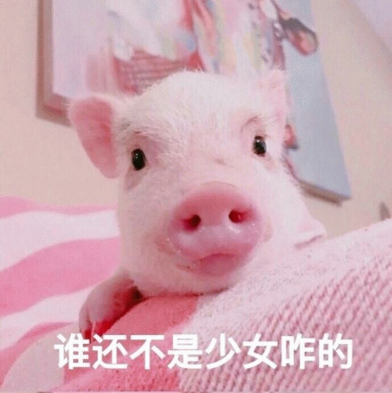 粉嫩小猪：谁还不是少女咋的