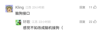 这是一张横版的社交媒体评论区截图，展示了两条围绕“脑机接口”展开玩梗的用户评论。第一条评论来自IP地址为江西的用户Kling，发布于23小时前，内容为“脑狗接口”，将“脑机接口”的语序打乱，获得了11个点赞，其头像是一只头顶钞票、表情开心的卡通小狗。第二条是IP地址为江苏的用户轩歌在22小时前的回复，内容为“感觉不如改成脑机接狗（”，进一步调换语序制造出更具反差感的搞笑效果，该评论获得了22个点赞，头像是包含真人小孩的图片。两条评论通过对专业术语“脑机接口”的语序改编，用谐音和错位的方式制造趣味，属于网友在相关话题下的自发趣味互动。